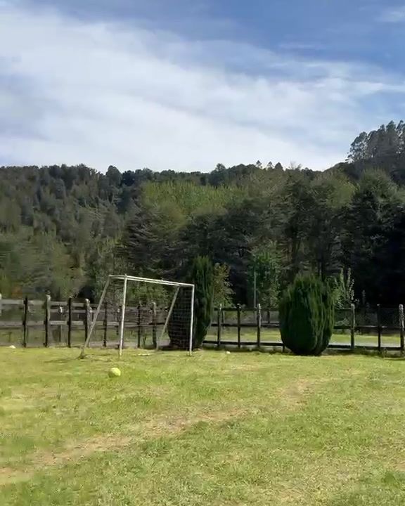 Mini cancha con arcos